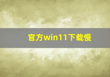 官方win11下载慢