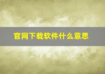 官网下载软件什么意思