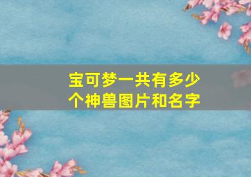 宝可梦一共有多少个神兽图片和名字