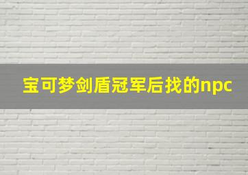 宝可梦剑盾冠军后找的npc