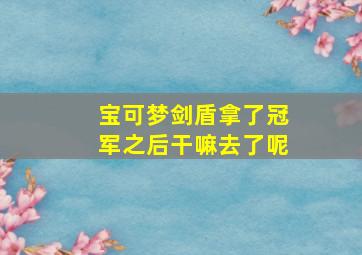 宝可梦剑盾拿了冠军之后干嘛去了呢