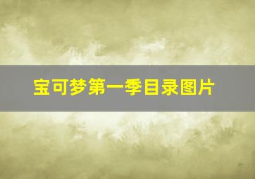 宝可梦第一季目录图片