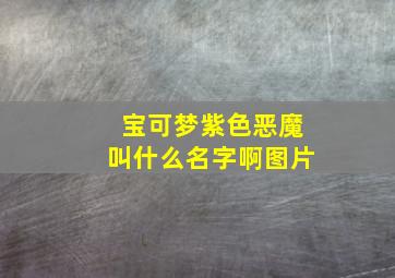 宝可梦紫色恶魔叫什么名字啊图片