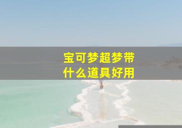 宝可梦超梦带什么道具好用