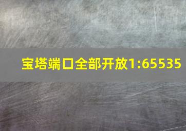 宝塔端口全部开放1:65535