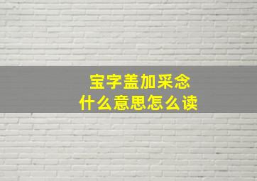 宝字盖加采念什么意思怎么读