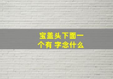 宝盖头下面一个有 字念什么