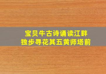 宝贝牛古诗诵读江畔独步寻花其五黄师塔前