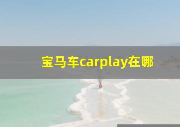 宝马车carplay在哪