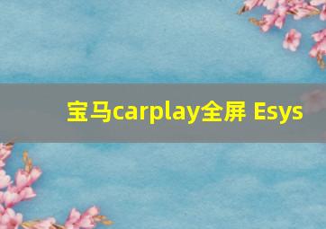 宝马carplay全屏 Esys