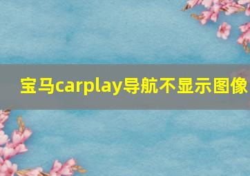 宝马carplay导航不显示图像