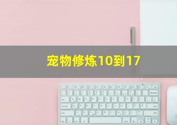 宠物修炼10到17