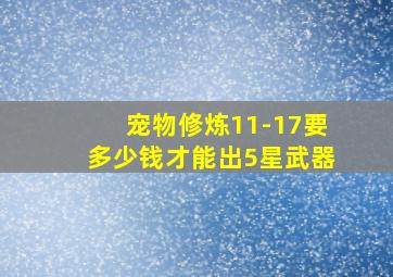 宠物修炼11-17要多少钱才能出5星武器