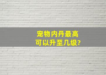 宠物内丹最高可以升至几级?