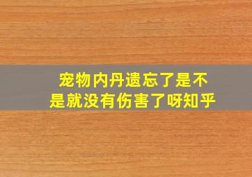 宠物内丹遗忘了是不是就没有伤害了呀知乎