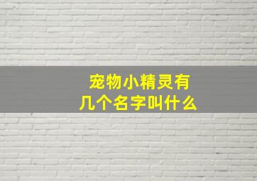 宠物小精灵有几个名字叫什么