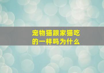 宠物猫跟家猫吃的一样吗为什么