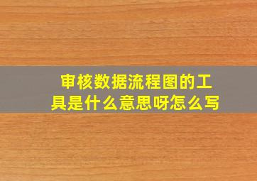 审核数据流程图的工具是什么意思呀怎么写