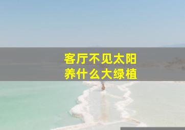 客厅不见太阳养什么大绿植