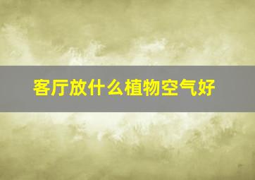 客厅放什么植物空气好