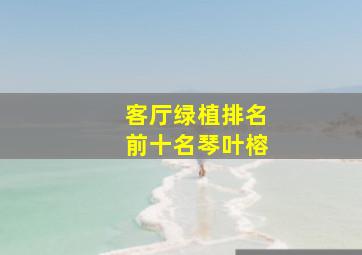 客厅绿植排名前十名琴叶榕