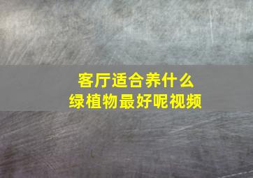 客厅适合养什么绿植物最好呢视频