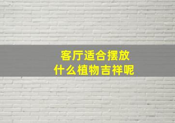 客厅适合摆放什么植物吉祥呢