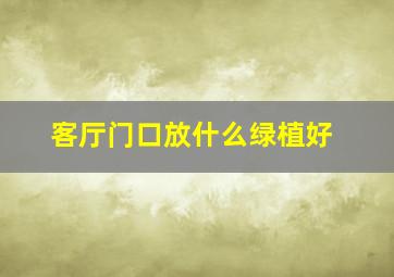 客厅门口放什么绿植好