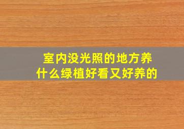 室内没光照的地方养什么绿植好看又好养的