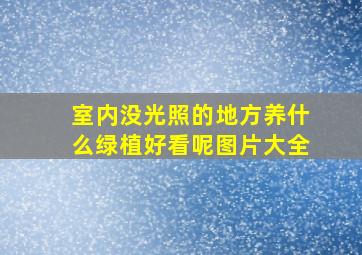 室内没光照的地方养什么绿植好看呢图片大全