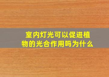 室内灯光可以促进植物的光合作用吗为什么