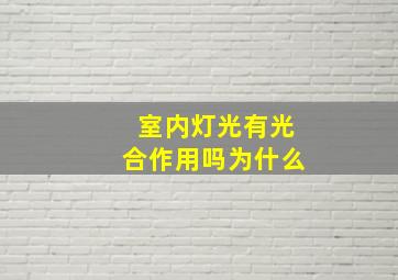 室内灯光有光合作用吗为什么