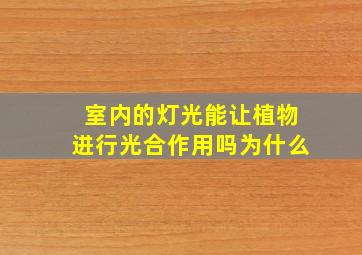 室内的灯光能让植物进行光合作用吗为什么