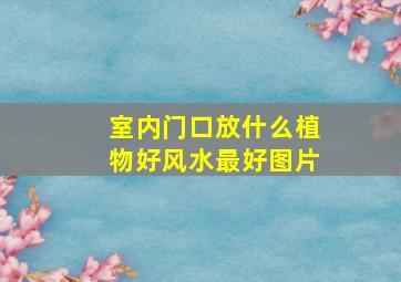 室内门口放什么植物好风水最好图片