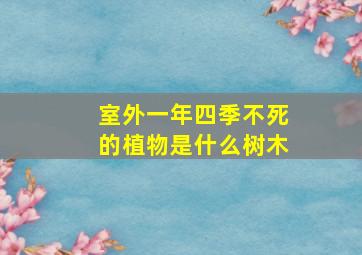 室外一年四季不死的植物是什么树木