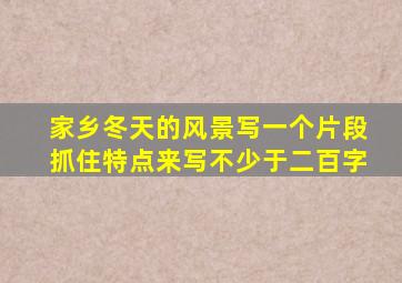 家乡冬天的风景写一个片段抓住特点来写不少于二百字