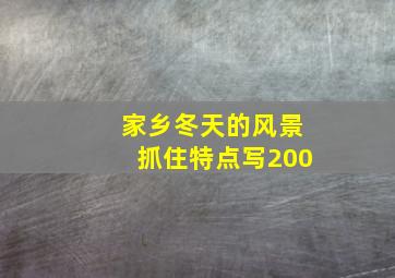 家乡冬天的风景抓住特点写200