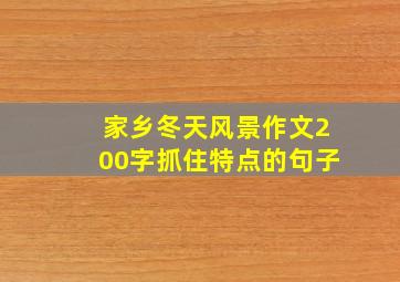 家乡冬天风景作文200字抓住特点的句子