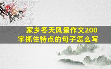 家乡冬天风景作文200字抓住特点的句子怎么写