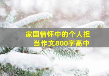 家国情怀中的个人担当作文800字高中