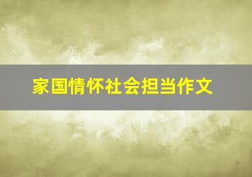 家国情怀社会担当作文