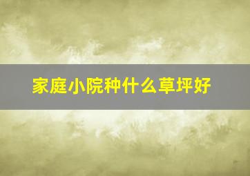 家庭小院种什么草坪好