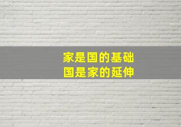 家是国的基础 国是家的延伸