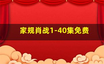 家规肖战1-40集免费