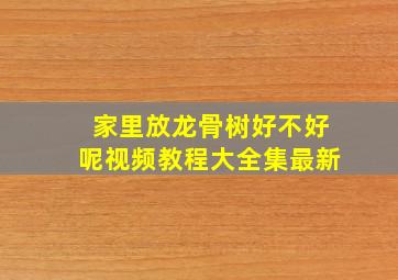 家里放龙骨树好不好呢视频教程大全集最新