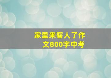 家里来客人了作文800字中考