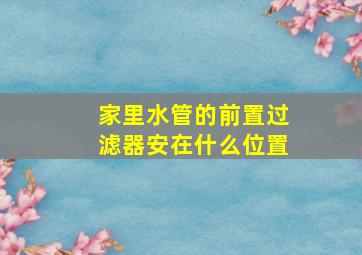 家里水管的前置过滤器安在什么位置