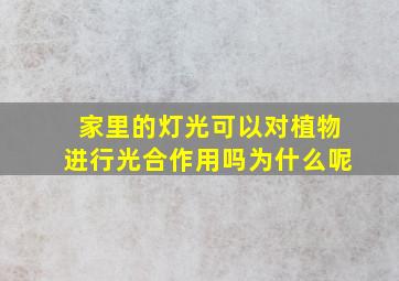 家里的灯光可以对植物进行光合作用吗为什么呢