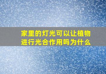 家里的灯光可以让植物进行光合作用吗为什么