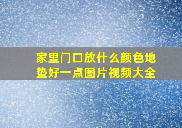 家里门口放什么颜色地垫好一点图片视频大全